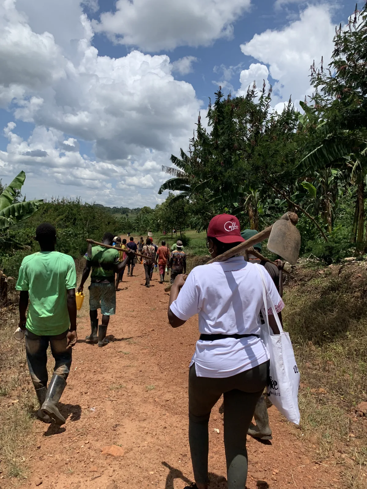 Coffee Safaris team and community members walking down a red dirt path to a coffee farm in rural Uganda, carrying farm tools